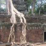 Angkor-Wat-Cambodia-Angkor Wat-