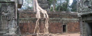 Angkor-Wat-Cambodia-Angkor Wat-
