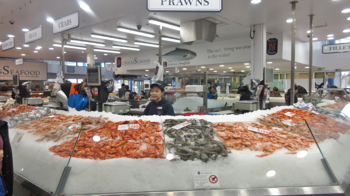 Sydney-Inner-City-Adventure-fish-seafood-market